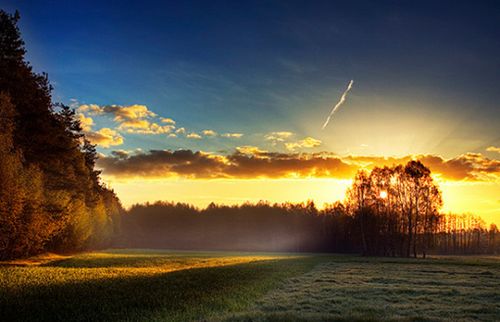 �����滮����ְ�����˵�9������