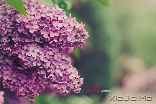 若现在就觉得失望无力,未来那么远你该怎么扛 (7)