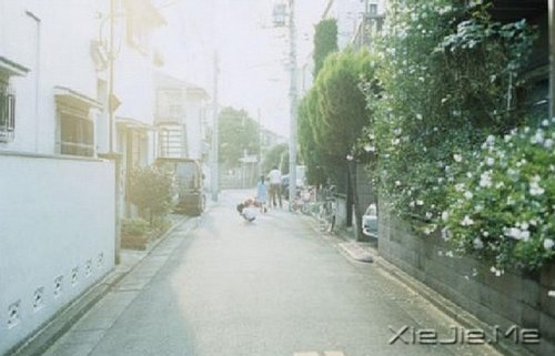 ��̬���ã��������� (7)