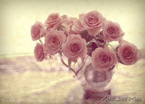 找一个理由,去否认忧伤 (2)