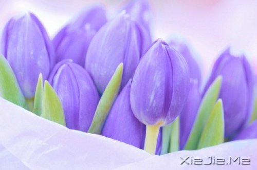 ������ʵ���Լ���������õ� (1)