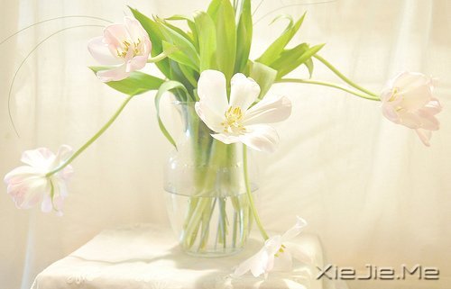 ֻҪ�����ߣ��ܻῴ������ (3)