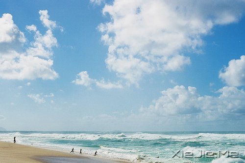 �������а��ţ�����ֻ��˳����Ȼ (1)