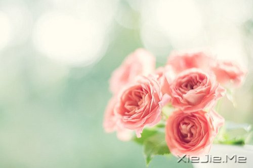 找一个属于自己的地方,在眼泪中懂得遗忘的伤 (5)