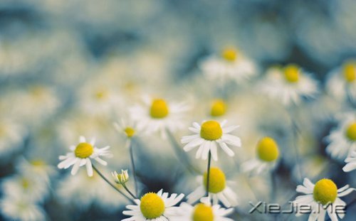 风雨人生,给自己一个微笑 (2)