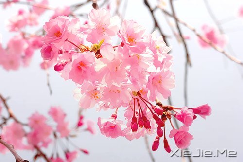 路过青春一阵子,记忆里搁浅一辈子 (8)