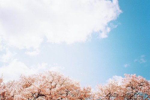 ������û��������Ȼ��ֻ���ĸ���Ը (1)