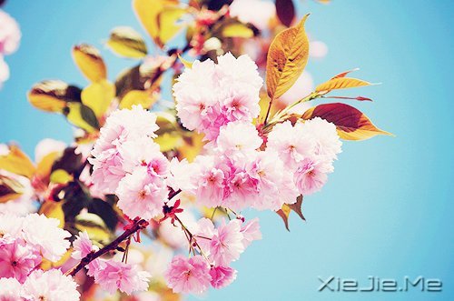 ֻҪ���Ĳ��ң����ͺ��Ѹı���ʲô (1)