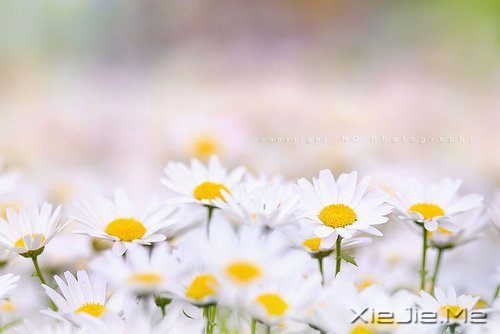 ֻҪ���Ĳ��ң����ͺ��Ѹı���ʲô (8)