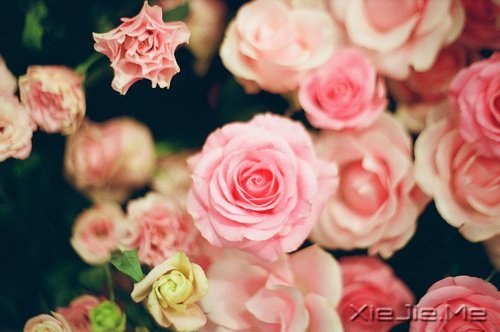 �Ҳ��������������������Լ� (9)