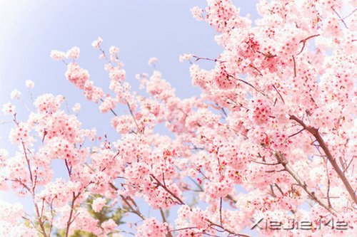 �����������Ľ�ӡ������ӡ������Ţ��·�� (1)