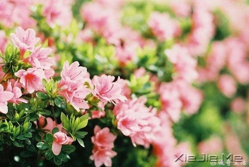 �ˣ�����Ҫ�����ģ���ĳ��ʱ�� (3)