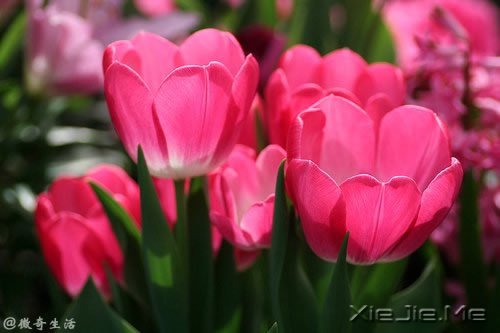 �ˣ�����Ҫ�����ģ���ĳ��ʱ�� (6)