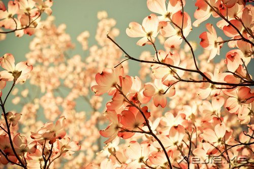 �����������������������Į (4)