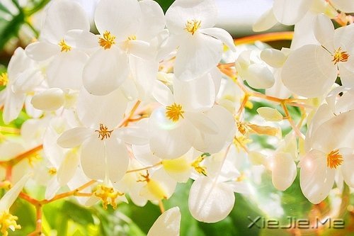 �����������������������Į (6)