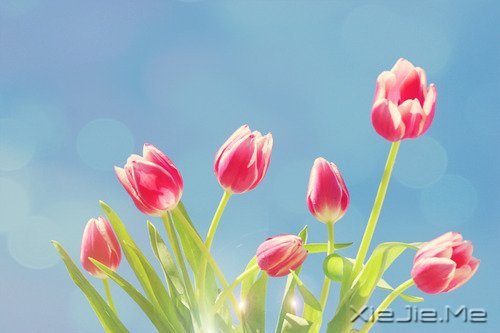 容易衰老的不是容颜,而是不敢进取的心 (1)