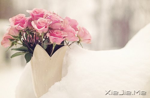 һ�����¹¶����������¹��� (7)