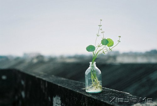 晚安心语:在途中,认清自己 (12)