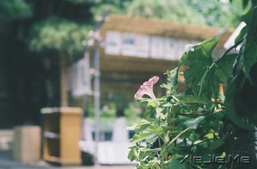 �簲���ֻҪ���룬��ʱ�����Կ�ʼ (6)