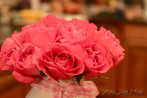 �簲�������ǰ�ߣ��㽫��Զͣ�� (11)