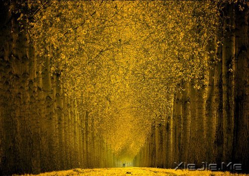 �������һ���˺��¹¶��������˺��¹��� (3)