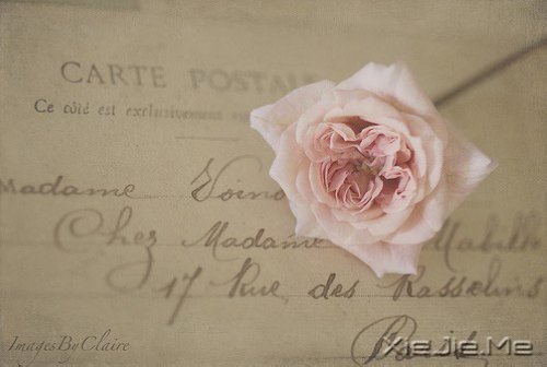 �ʵ��ķ��������������ŵ�ת�� (10)