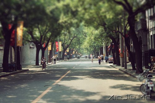 ��һ��΢Ц������ߣ����ַ������ϵ��� (7)