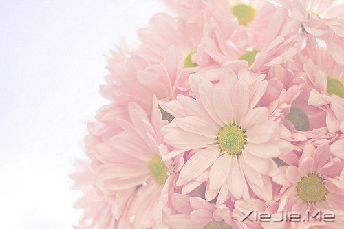 晚安心语:若你懂得,就请珍惜 (6)