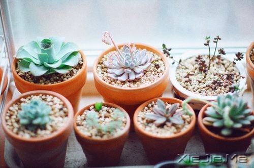 晚安心语:若你懂得,就请珍惜 (8)