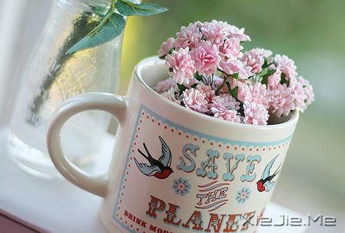 �簲����㿴����̫���ף�������ʧ�����µ����� (8)