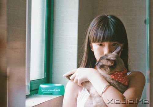 早安心语:最懂我的,始终还是我自己 (6)