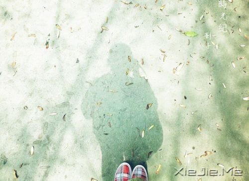 晚安心语:我想要用我的方式飞翔一次 (3)