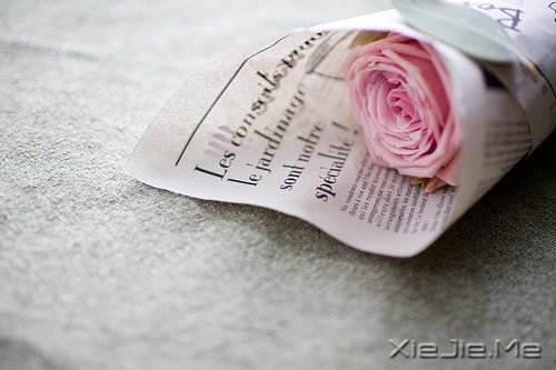 晚安心语:谁经得起浮华的绚烂,谁就经得起流年的平淡 (4)