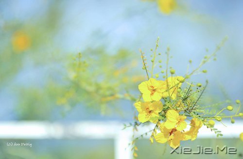 ���������ϲ��̸������ˣ���������˽������ (4)