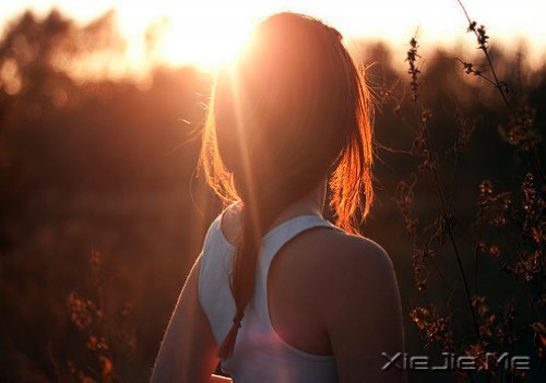 ���������һ������бܶ����� (7)