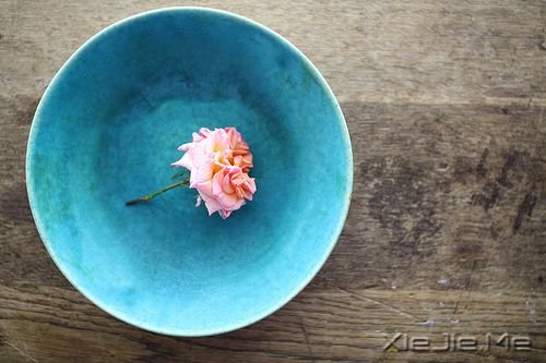 早安心语:面对未知,请用好奇替代恐惧 (1)