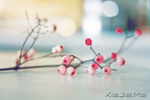 ����������Լ���һ�������� (5)