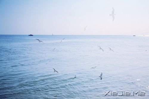 晚安心语:一个人时,善待自己;两个人时,善待对方 (7)