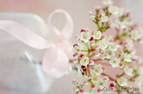 早安心语:生活总会给你另一个机会,这个机会叫明天 (6)