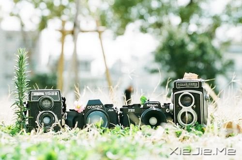 �簲�������ֻ�о�����ƽ���������Ե�����������ʵ (3)