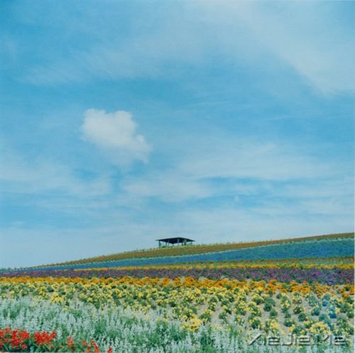 ���������ȥ�Ķ�������ò�������ò��� (2)