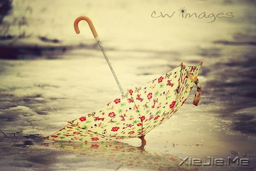 С����ͼƬ (10)