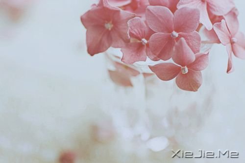 小清新图片 (23)