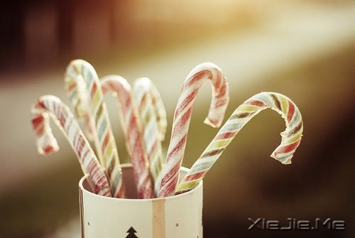 小人物,小欲望,小满足,才是大幸福 (10)