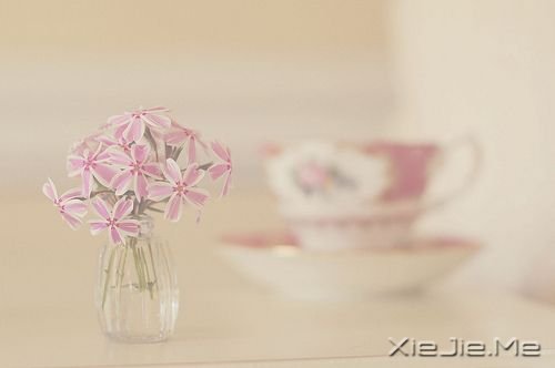 ���������������ôһ��ʱ��Ҫѧ���Լ����� (5)