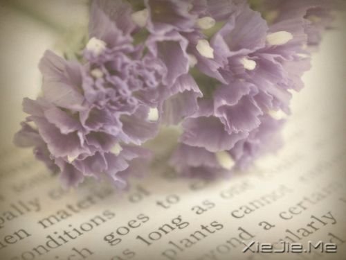 ��������Ҹ��������Ķ����Ҹ� (2)