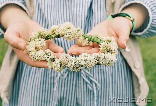 早安心语:做个生活的舞者 (5)