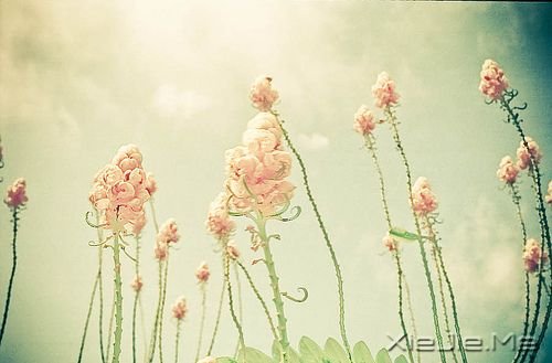 去过你想过的人生吧