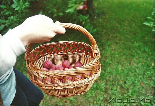 ѧ��͡����������ƽ����