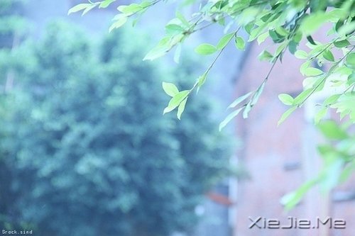 ������ʮ������������ø������� (5)